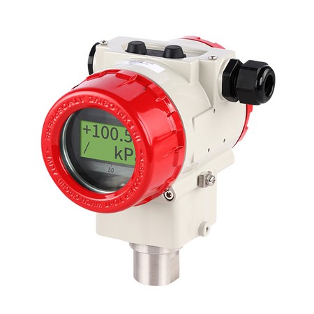 P260 Submersible Level Meter in Romania Complete Style