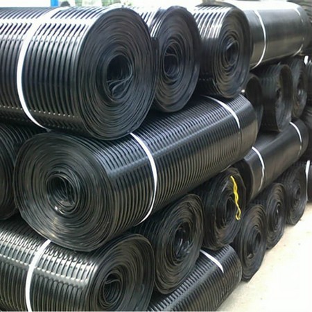 Complete Style PET Geogrid in North America