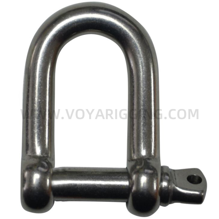 Marine Hardware AISI304/316 Long D Type Shackle with Certificate