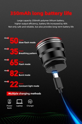 Smart 60 Lumen Rechargeable USB Tail Light - CUSHBIKE