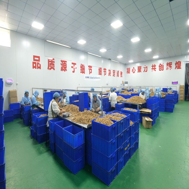 dried blueberries Ningxia produces more than 80% of the world's yBZCaLS2vo8k
