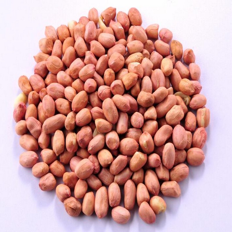 Red-skinned salt-baked peanut kernels Low precipitation in p3M0ox9eVCYX
