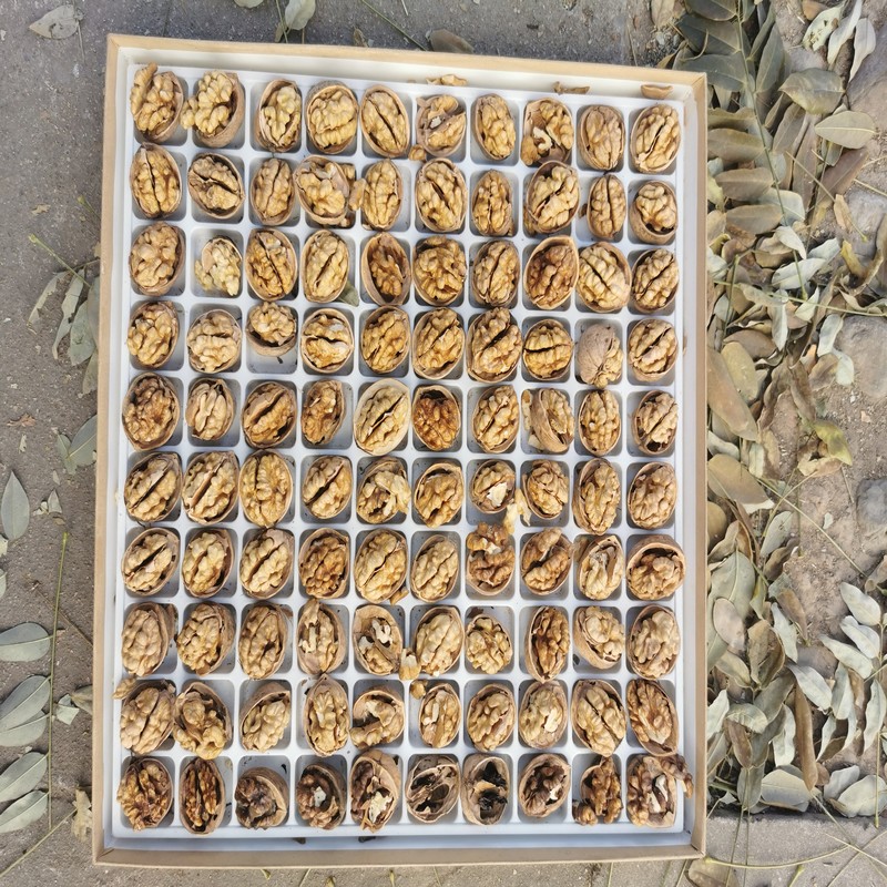 dried apples Dry for days Bhutan - nutfood.icu6hXnMiNRWVQO