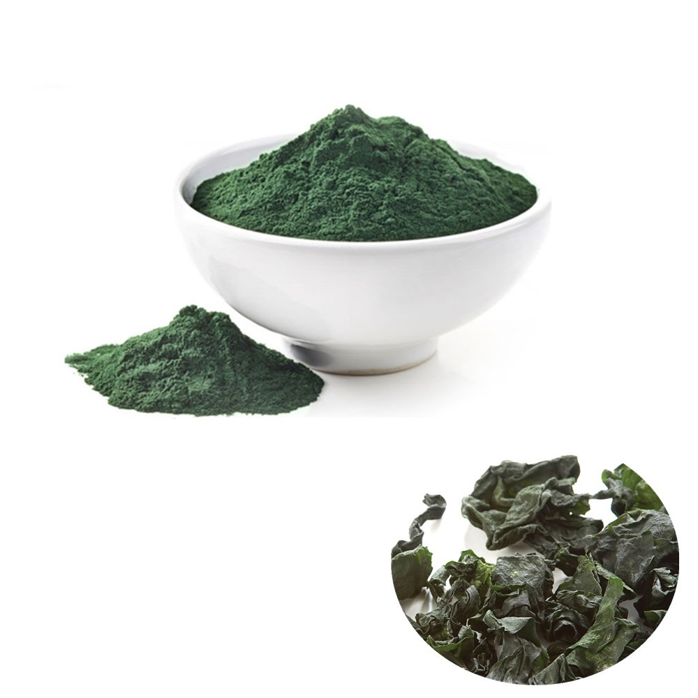 High Quality Bacopa Monnieri Extract Powder Manufacturers ...