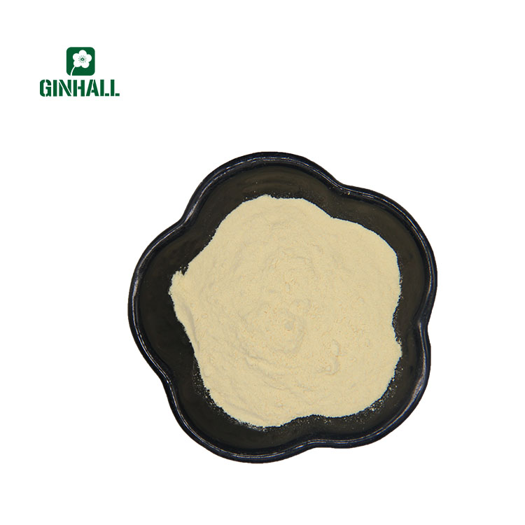 hot sale dried greengage powder   with good ...