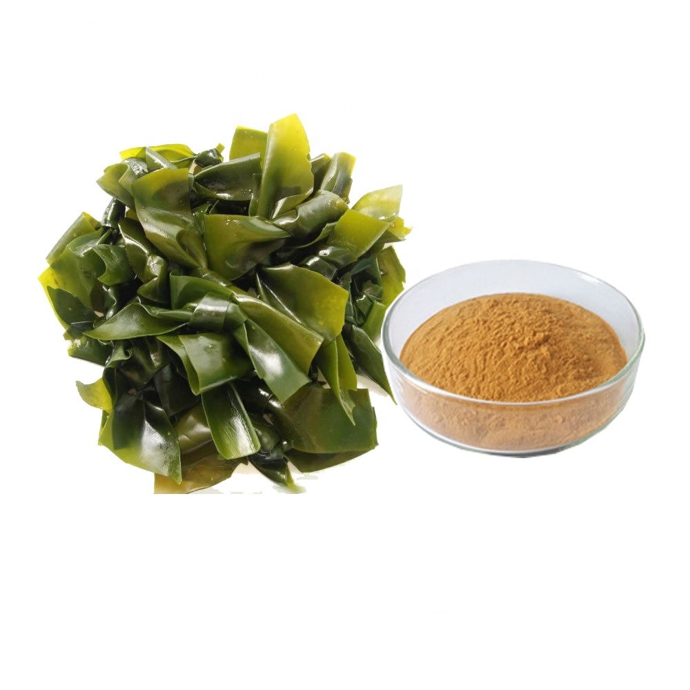 China El mejor Extracto de Stevia, Extracto de Monk Fruit ...