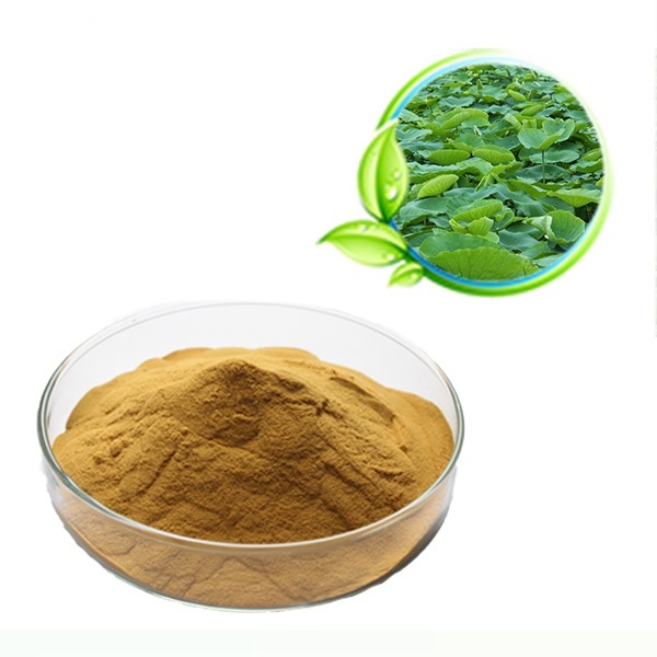 Versatile gingseng  for use in Various Products ...