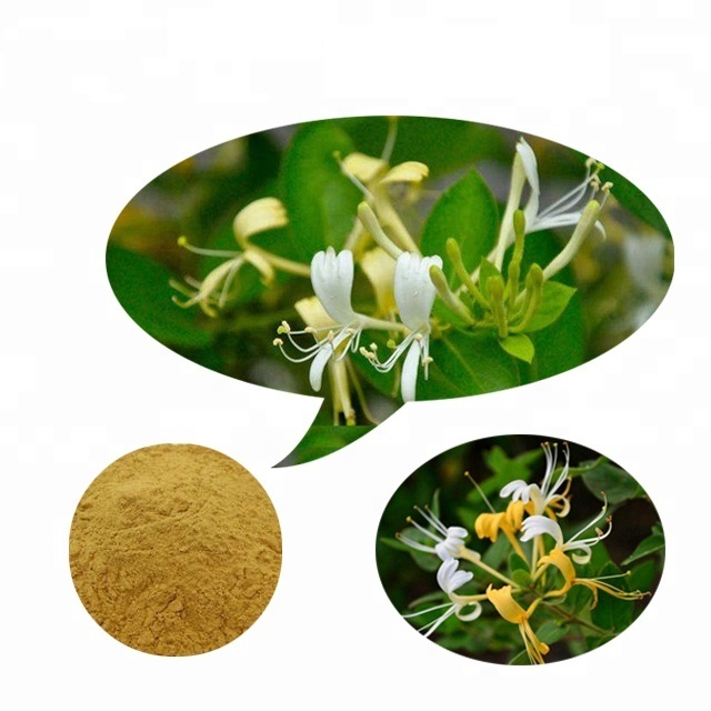 Floralite Reviews - Does It Work? Critical Research Found ...