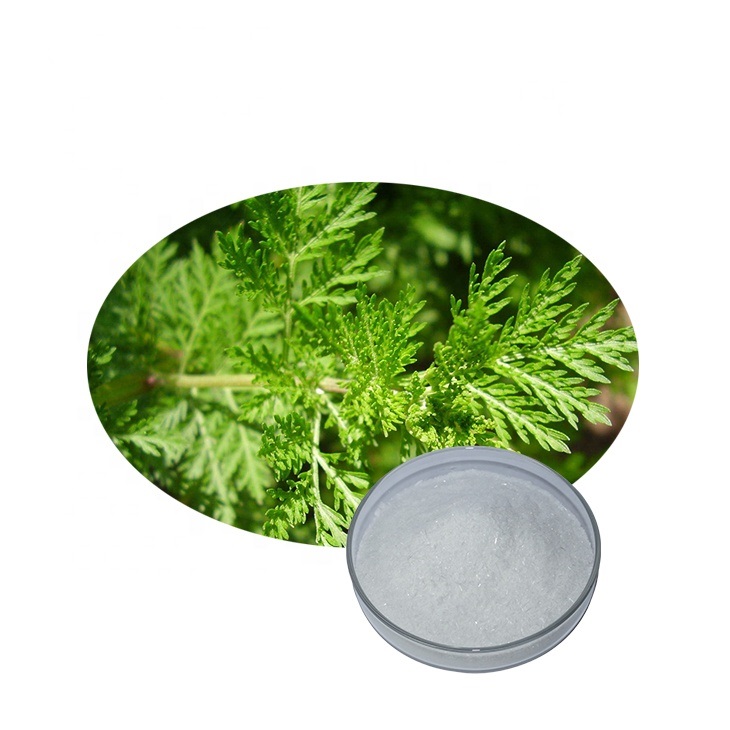 Buy Lotus leaf Extract Manufacturers & Factory