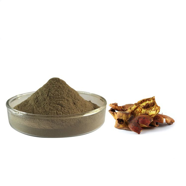 Ginkgo Biloba Leaf Powder - Herbal Extracts - 500g ...