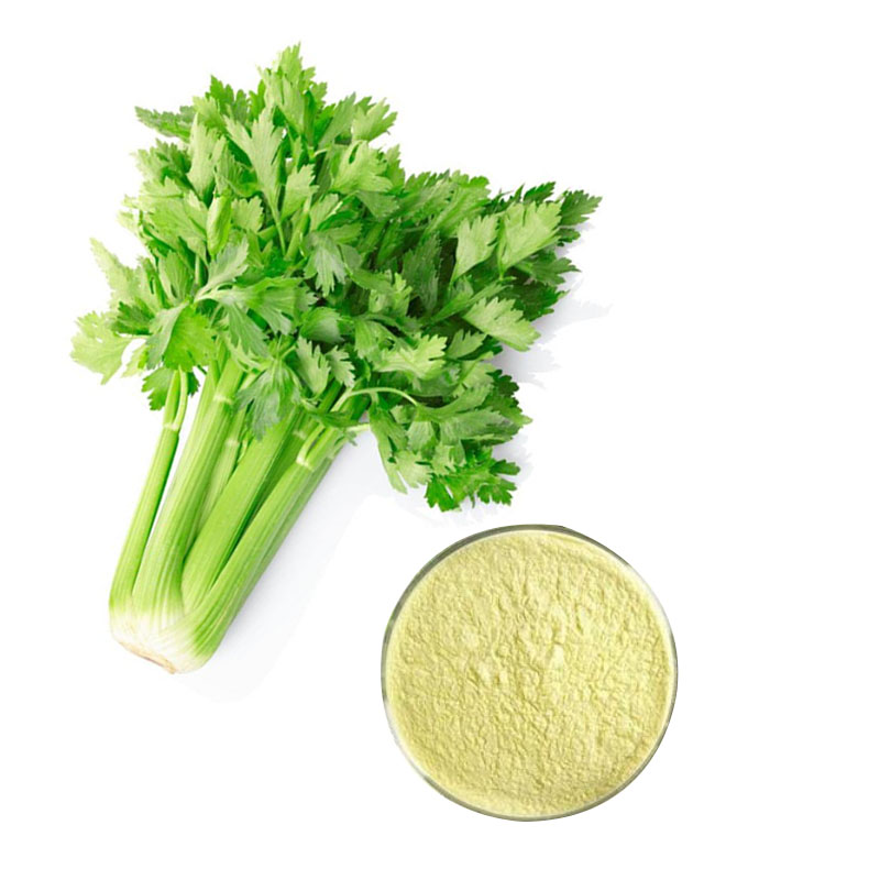 Herbs & Botanicals - Joint Health - Turmeric - Vitacost