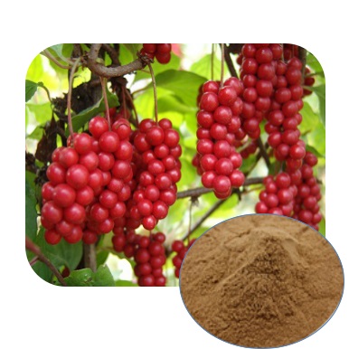 China Pueraria flavonoids Kudzu root extract factory and ...