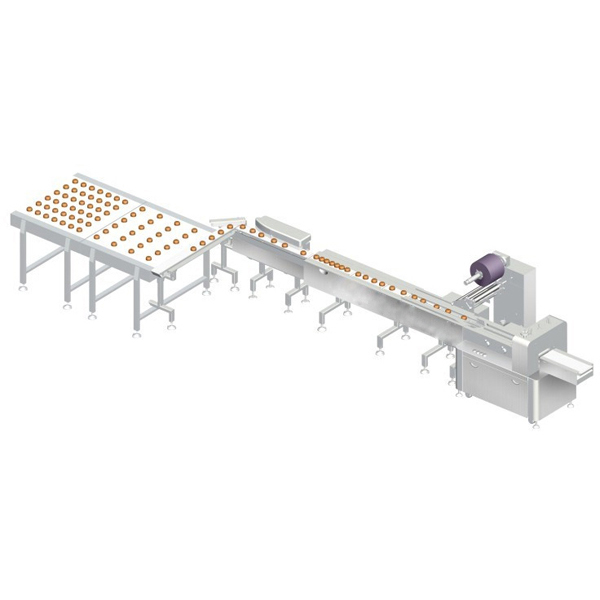 High Speed Continuous Vacuum Packaging Machine for 1ucqwuMHC5rr