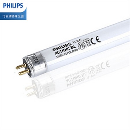 Amazon.in: LED Torch Lights