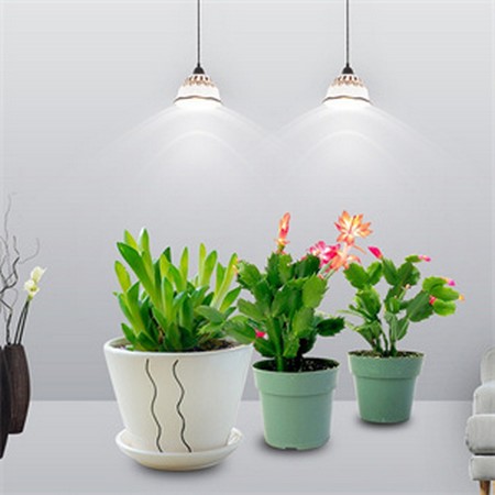 Decorative Lamp Crystal Nordic Luxury Chandeliers ...