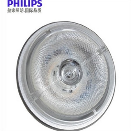 Decorative Specialty Bulbs – Commercial-Grade Light Bulbs
