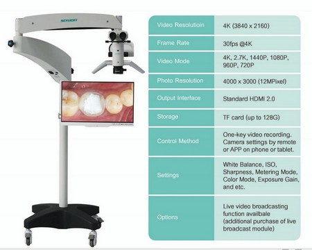 LED Light,Wireless Cordless Dental Mini Endodontic Endo ...