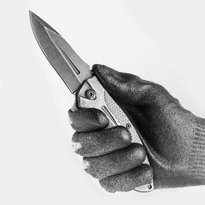 : TRIVISA Camping Pocket Folding Japanese EDC knife …