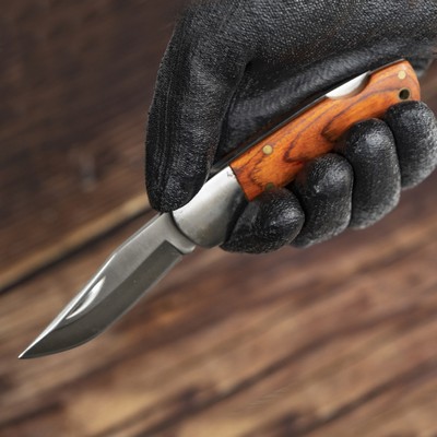 The 9 Best Serrated Knife Reviews in 2022: Tips & FAQs