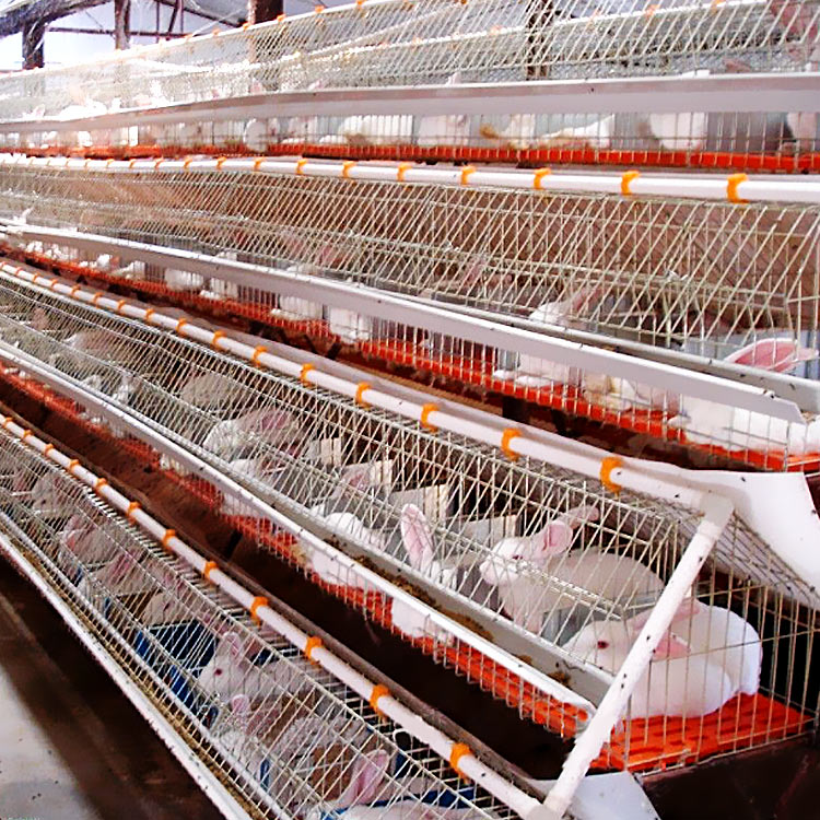 Authentic chicken coop killer tent