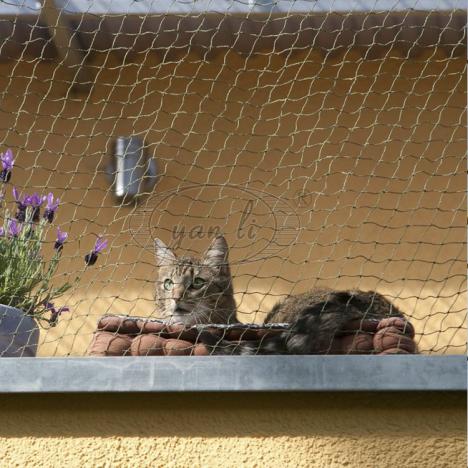 Which one has the largest wholesale volume bird net vineyard d4Pr9ux3aEpA