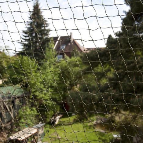 : Ruolan Bird Netting for Garden Protect Vegetable 