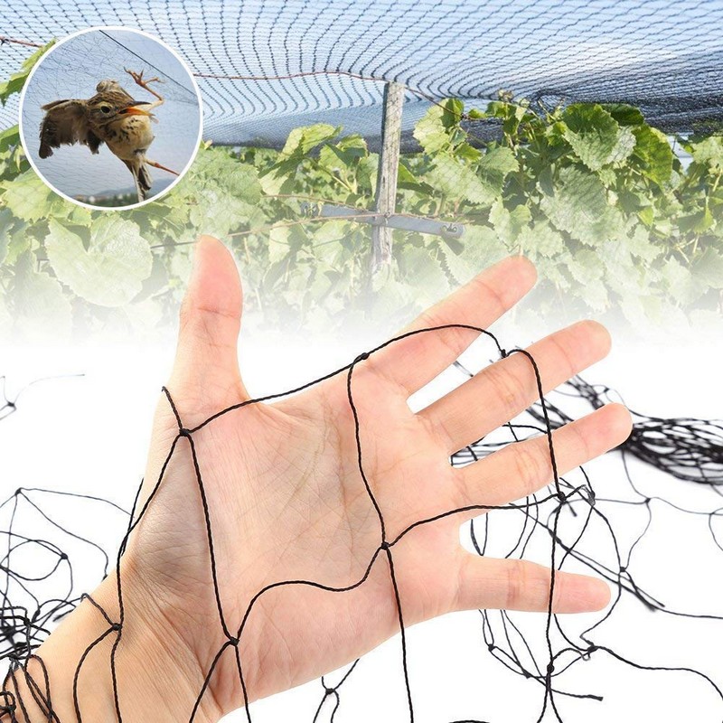 best seller online bird netting for tomato plants in FranceTem8ntOnqM1N