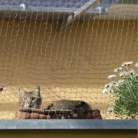 Which one has the largest wholesale volume Bird Net in MongoliayYT6ZCdRgk9y