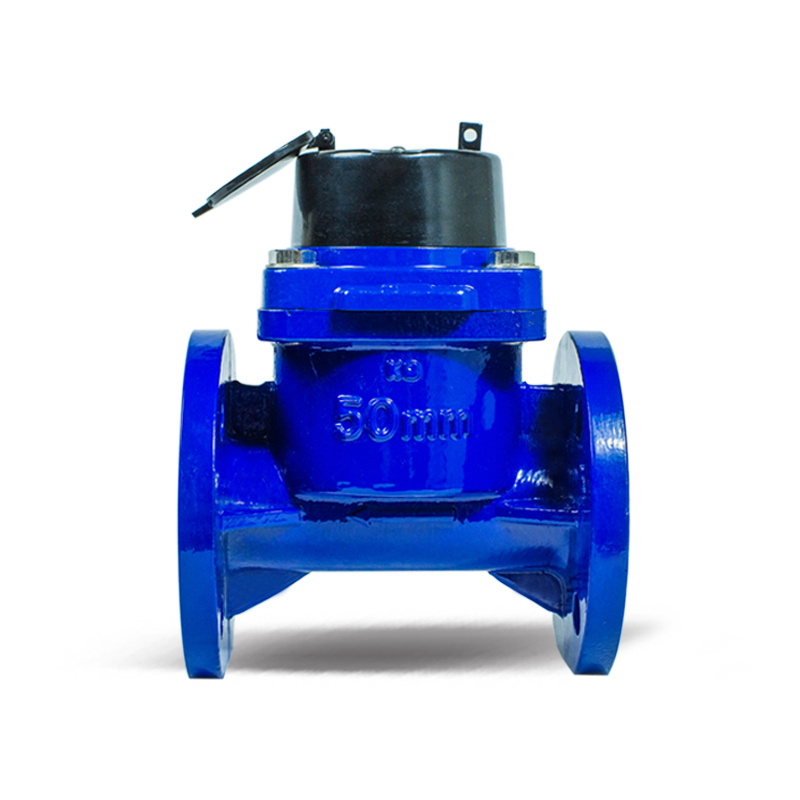 Sewage And Irrigation Type Water Meter