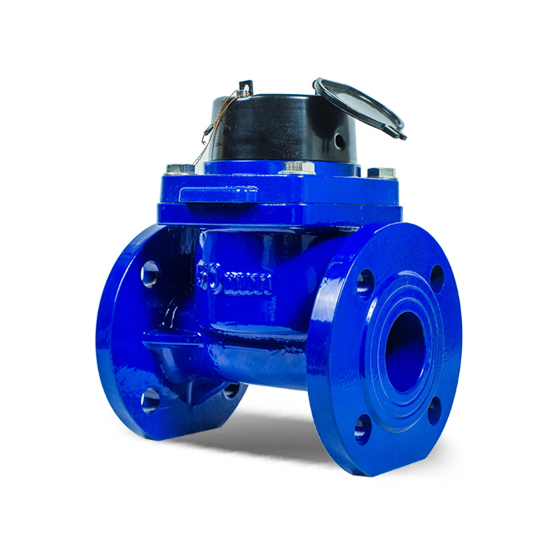 Sewage And Irrigation Type Water Meter