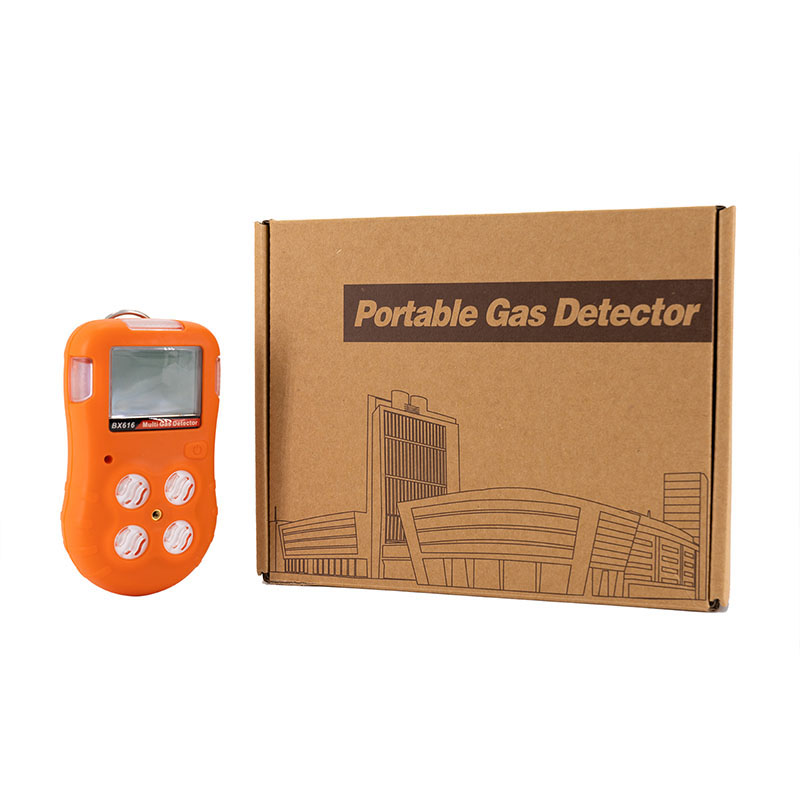 Fixed and Portable Gas Detection Solutions - MSA Safetyk3oiBd4DJbPG