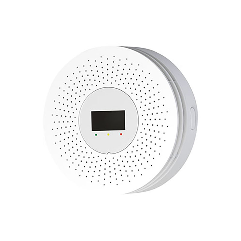The Best Carbon Monoxide And Natural Gas Detector of n9YGshdrGbcW