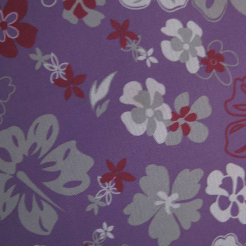 Oxford Cloth Dyeing Printing