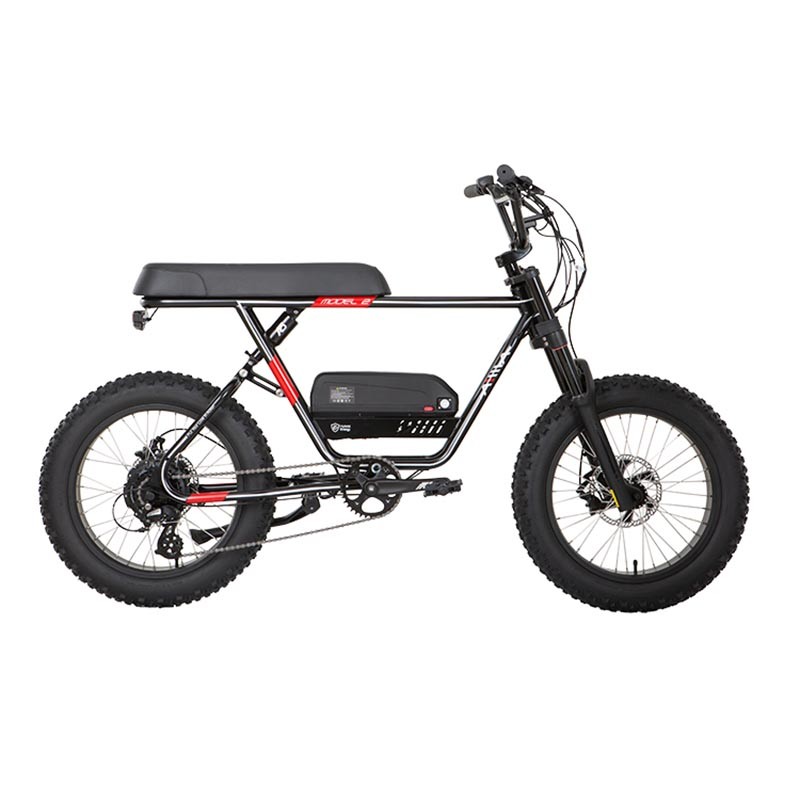 Aima Mc230 / Mc220 Electric Bicycle