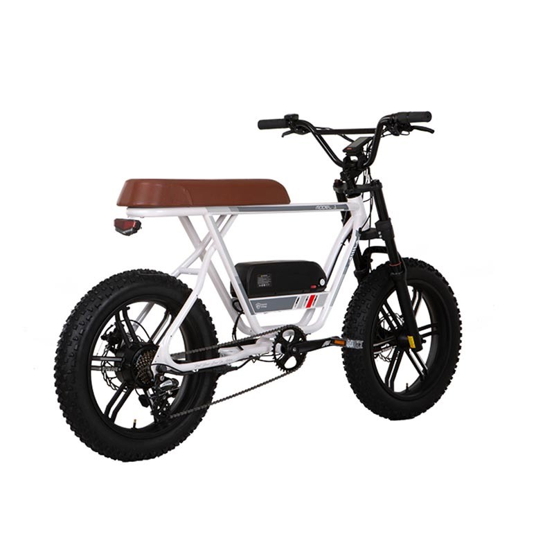 Aima Mc230 / Mc220 Electric Bicycle