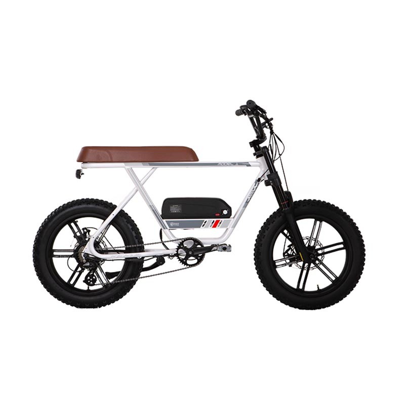 Aima Mc230 / Mc220 Electric Bicycle