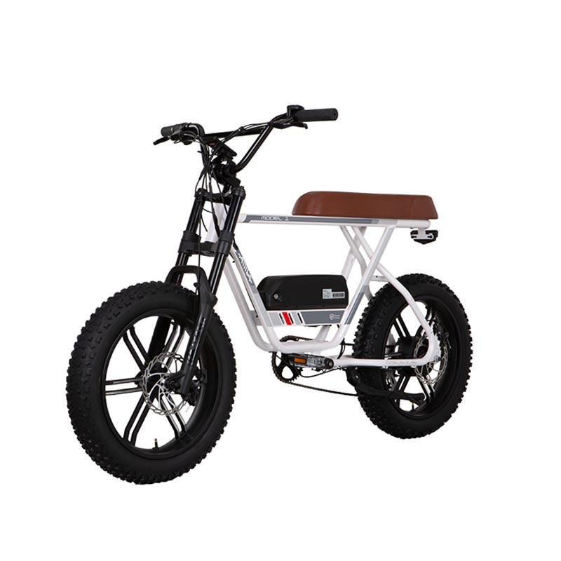 Aima Mc230 / Mc220 Electric Bicycle