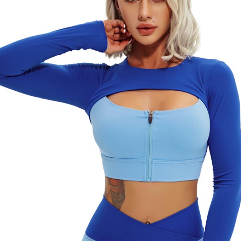 Long Sleeve Crop Top