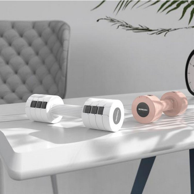 Adjustable Dumbbell (lightweight)