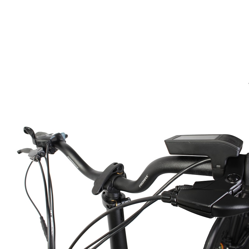 singapore electric bike with sidecar with more specifications