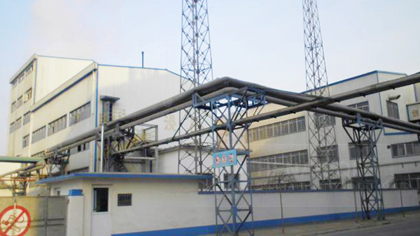Cotton Seed Oil Production Line