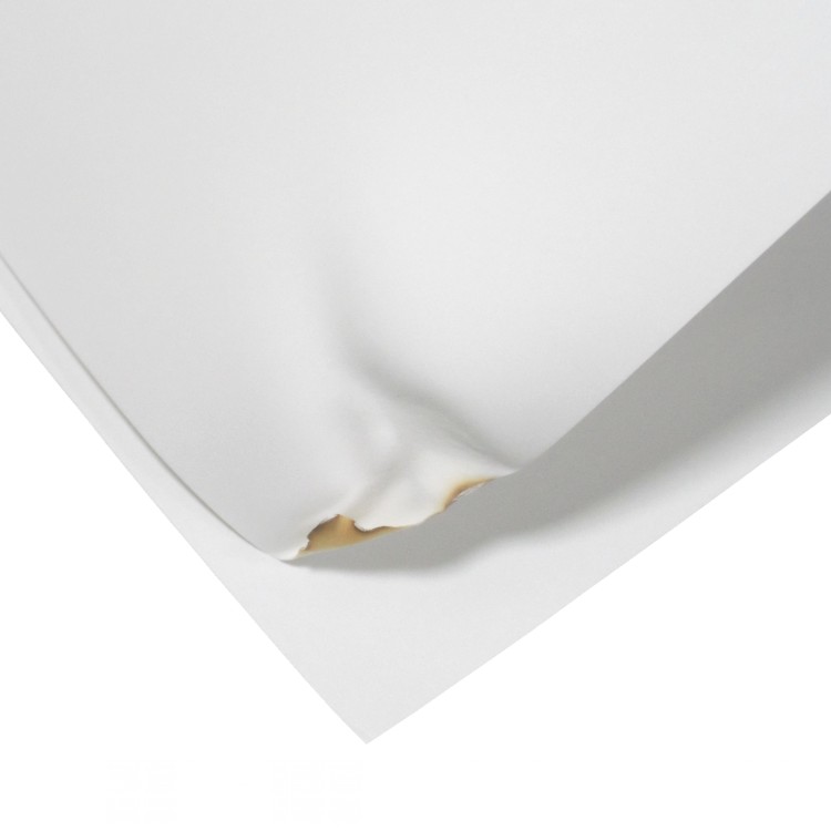 76*65mm 2ply NCR Carbonless Copy Paper Roll