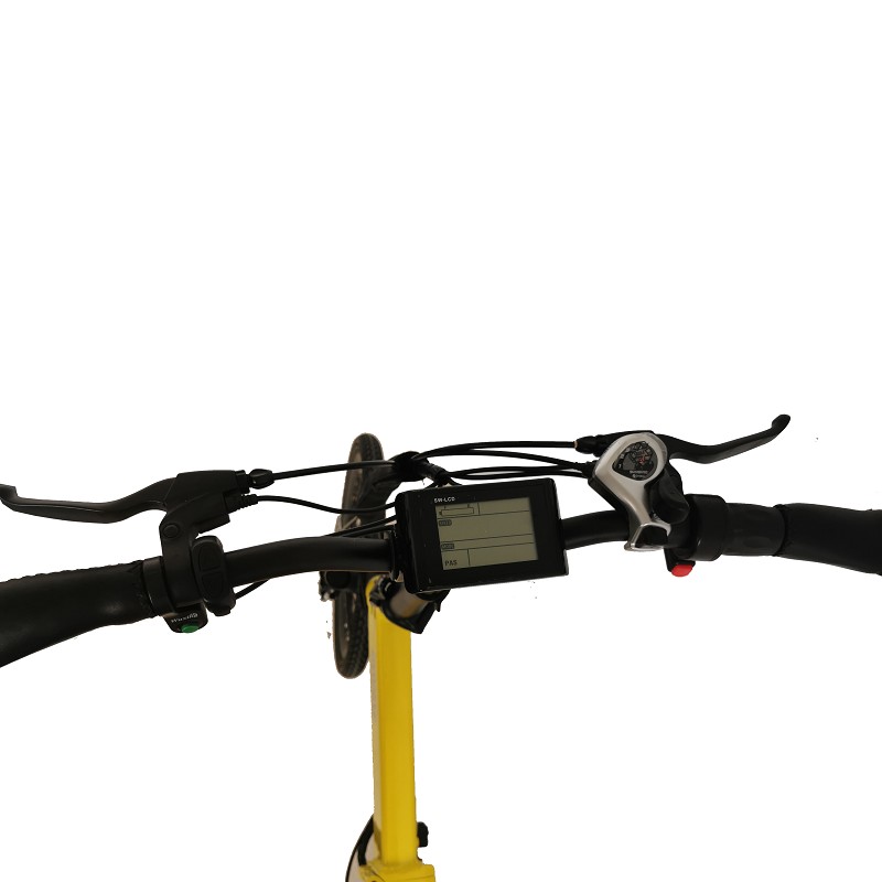 byocycle boxer 24