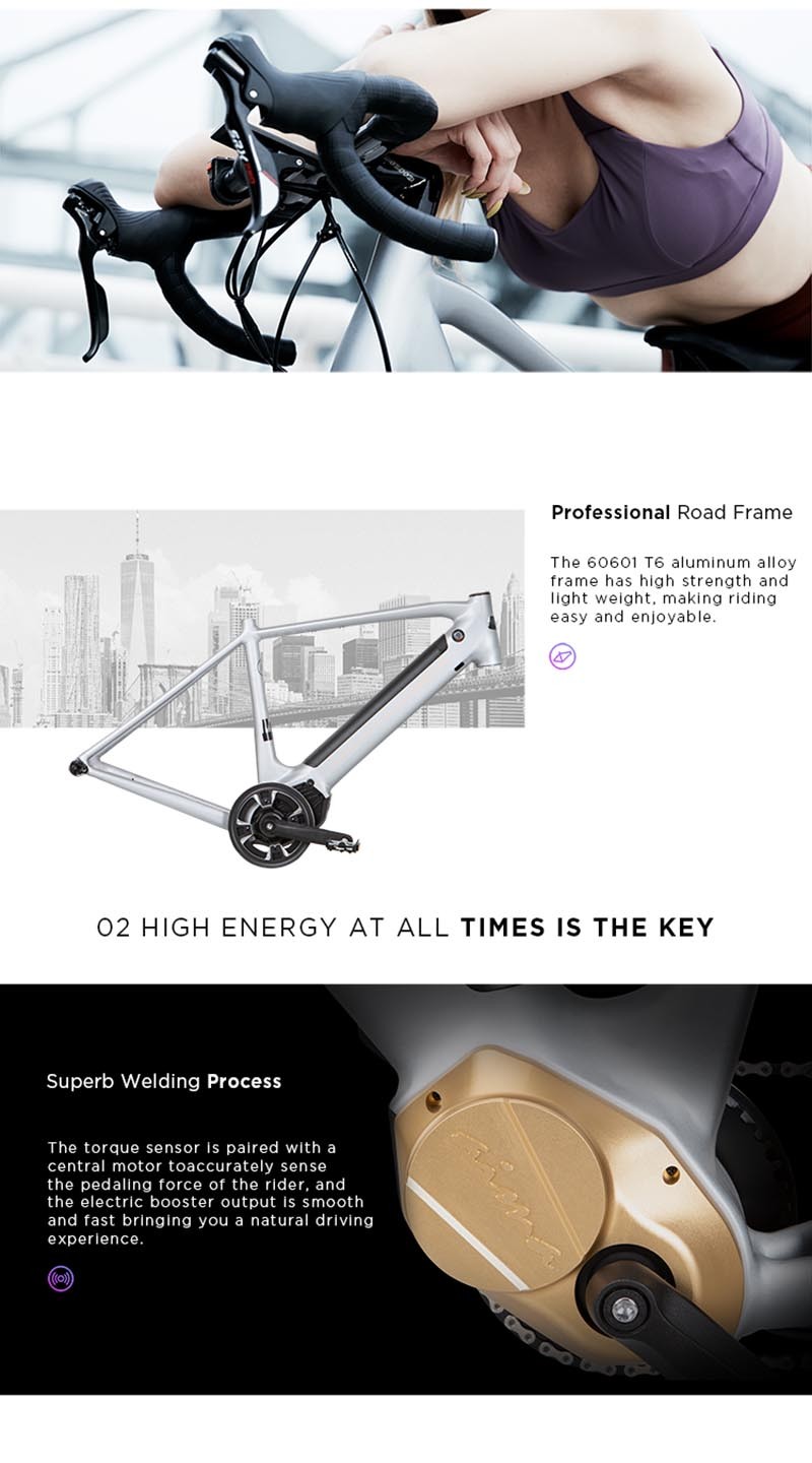 aima electric bike