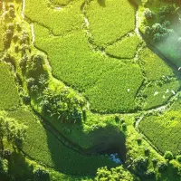 https://shmuker.oss-cn-hangzhou.aliyuncs.com/data/oss/20241216/c83d7e7ff109d93c4358674fe28955e1/temp_sub_image_3_1734279772399.jpg