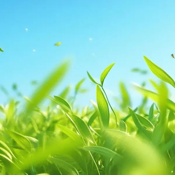 https://shmuker.oss-cn-hangzhou.aliyuncs.com/data/oss/20250121/ccffb6b2039df664520b8d92b7ef7729/temp_sub_image_1_1737390697741.jpg
