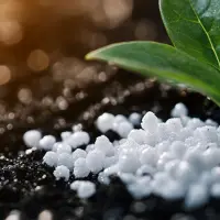 https://shmuker.oss-cn-hangzhou.aliyuncs.com/data/oss/20250221/12c80fa35ac086a5ff2cbf7593c782da/temp_sub_image_2_1740068719736.jpg