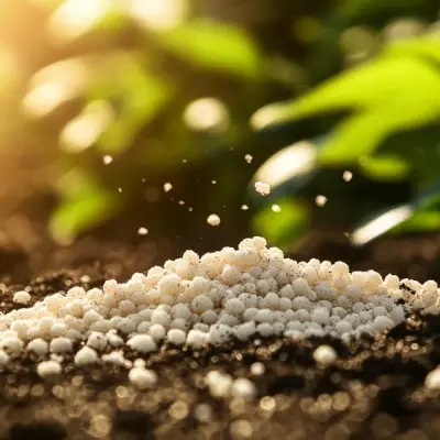 Common Misconceptions About Fertilizer Use