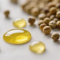 https://shmuker.oss-cn-hangzhou.aliyuncs.com/data/oss/20250708/557c1e6c061ddfa8b63bd45b6b66ff6d/02caa767-78b6-4d68-9603-d8ea2dece8cb.jpeg