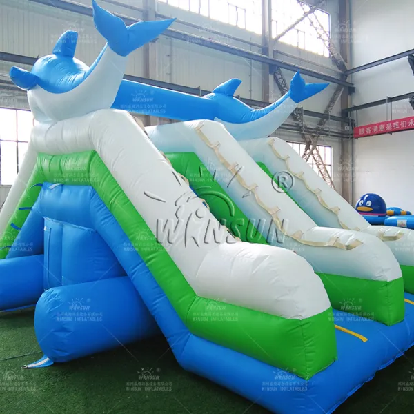 https://shmuker.oss-cn-hangzhou.aliyuncs.com/data/oss/60f0582b801008393c7f4eca/60f05ed4801008393c7ff3c7/20250506163818/Outdoor_dolphin_inflatable_slide_with_pool.jpg